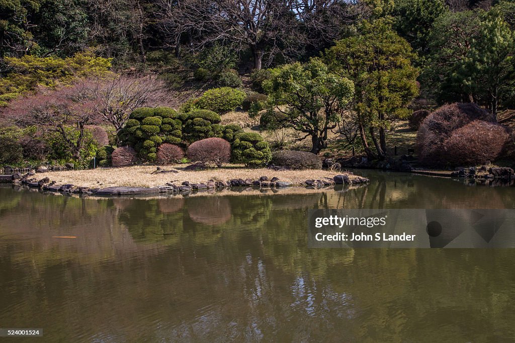 Pond Garden at Koishikawa Botanical Garden is maintained by...