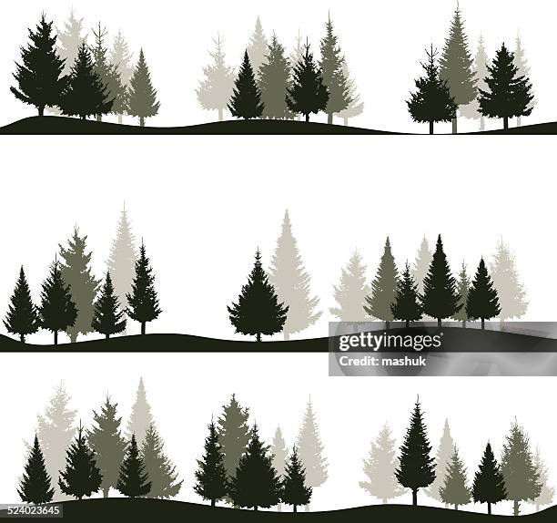 fir tree - fir tree forest stock illustrations