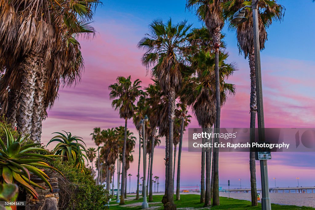 View down Ocean Front Walk toward Venice Pier