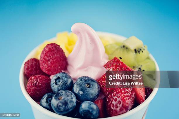 Frozen yogurt with berries. Photo by Lisa Wiltse