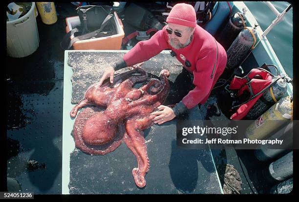 Scientist inspects a dead giant Pacific octopus on board a research ship in British Columbia.