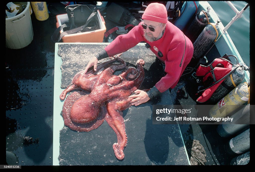 Scientist Examining an Octopus