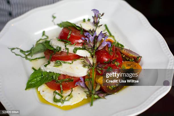 Insalata Caprese at Fireside Tavern, Sharpe Hill Vineyard in Pomfret, CT on June 9, 2013. Photo by Lisa Wiltse