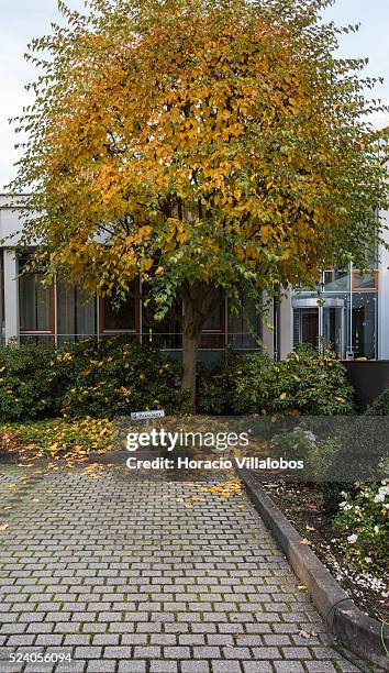 President's parking place at German Football Association headquarters, in Frankfurt, Germany, 03 November 2015, on the day Police raided the premises...