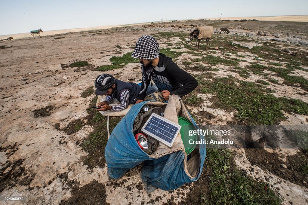 Shepherds charge their phones with solar panels carried by donkeys in Turkey