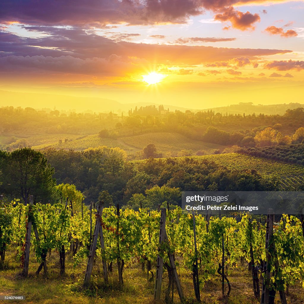 Sunset in Tuscany