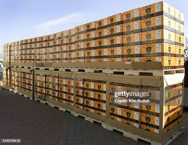 Taiv Box 20 Tivo Box Stock Photos, High-Res Pictures, and Images - Getty Images
