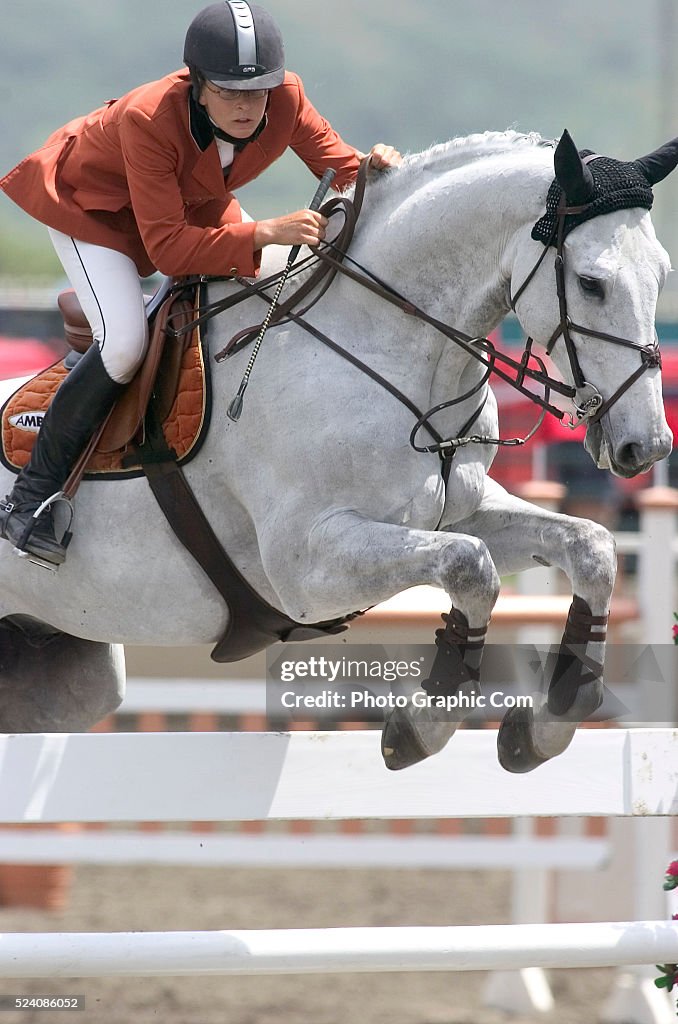 Equestrian 2004 - Olympic Show Jumping Trials