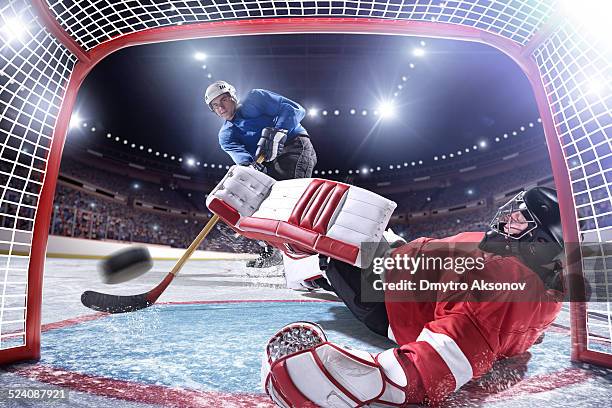 ice hockey player scoring - professional hockey stock pictures, royalty-free photos & images