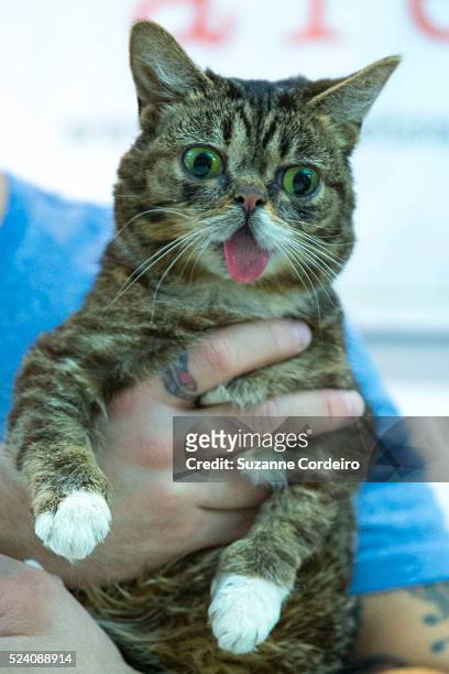 American cat and celebrity known for her unique appearance Lil Bub and her owner Mike Bridavsky, came to Austin Pets Alive! Tarrytown Adoption Center...