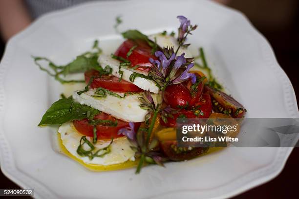 Insalata Caprese at Fireside Tavern, Sharpe Hill Vineyard in Pomfret, CT on June 9, 2013. Photo by Lisa Wiltse