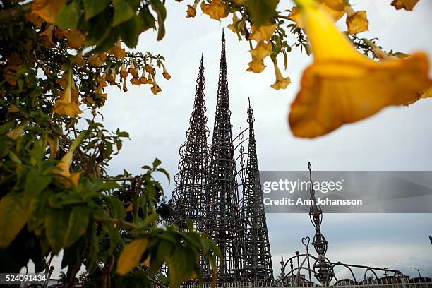 The Watts Towers are photographed framed by a flowers growing in the garden of a home across the street, in Los Angeles, April 11, 2012.