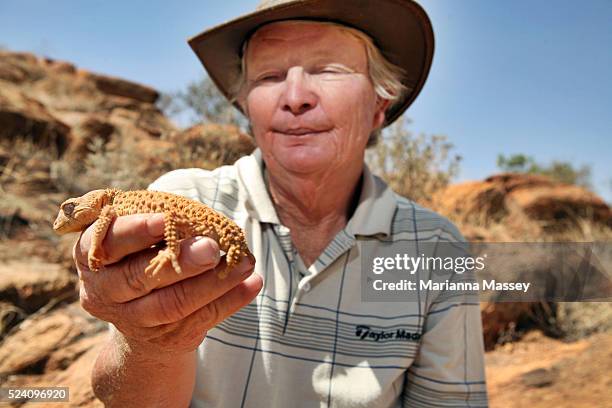 Wildlife Naturalist Ted Johansen holds a Central knob-tailed Gecko outside of the Alice Springs Reptile Center. Johansen says that many of these...