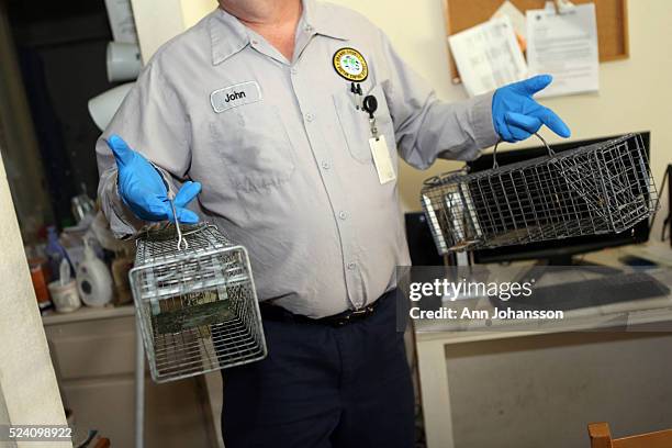 Health Inspector Rats Linda Risk Photos and Premium High Res Pictures - Getty Images