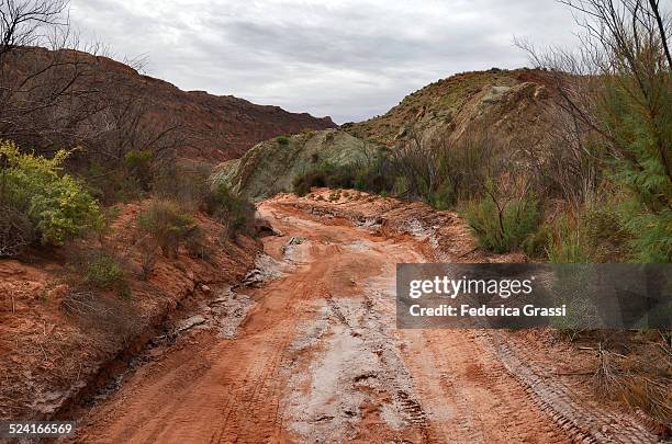 left hand collet road - bumpy road stock pictures, royalty-free photos & images