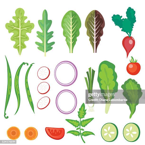 stockillustraties, clipart, cartoons en iconen met bright salad vegetables - bindsla