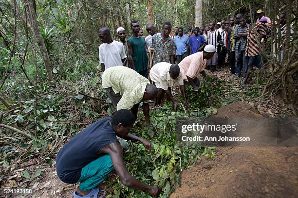 Matama Matama District Fotografías e imágenes de stock - Getty Images