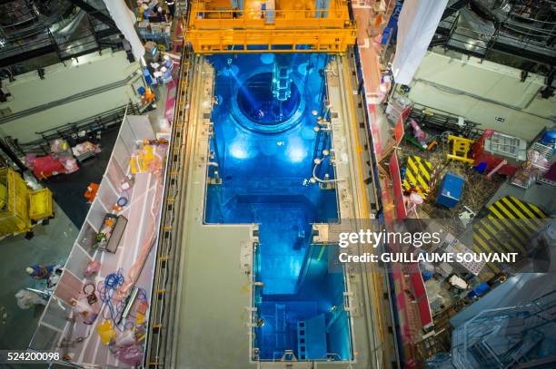 Picture shows the switched off Unit 1 nuclear reactor core, containing the control rods , at the nuclear power plant of Civaux, central France, on...
