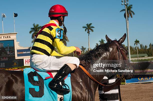 Horse Racing - Gulfstream Park Races, News Photo