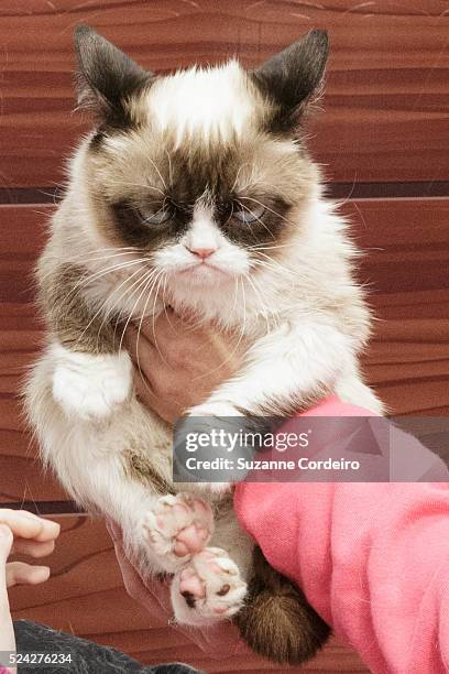 Tardar Sauce aka 'Grumpy Cat' and owner Tabatha Bundesen make a personal appearance at the Mashable House during the 2014 SXSW Music, Film +...