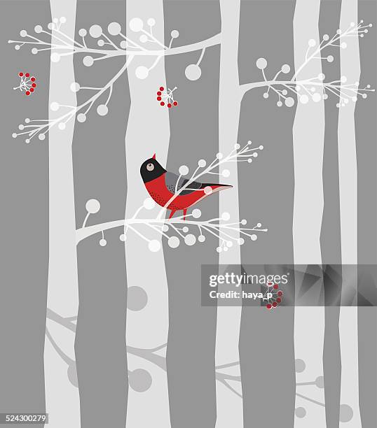 vogel auf einem ast, wald, winter - blue cardinal bird stock-grafiken, -clipart, -cartoons und -symbole