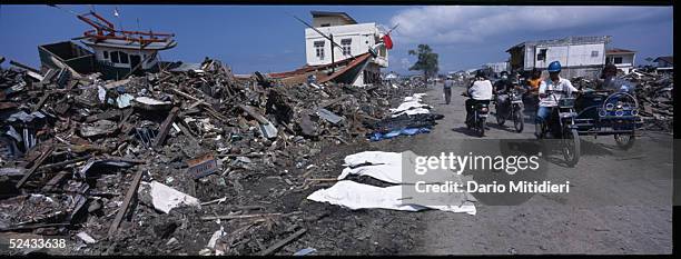 Bodies recovered from the rubble are covered in plastic and left at the side of the road. They will be later collected by volunteers or by the...