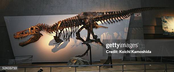 The world's largest Tyrannosaurus Rex, named Sue, is seen at the Dinosaur Expo 2005 after it's assembly was completed at the National Science Museum...