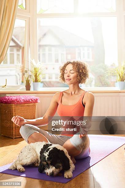 yoga at home - dog yoga stock pictures, royalty-free photos & images