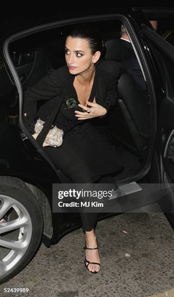 Actress Penelope Cruz arrives at the Gala Screening of new film "Don't Move " at the UGC Haymarket on March 17, 2005 in London.