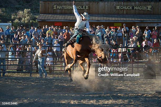 Border Bash Rodeo 180 Rodeo Border Stock Photos, High-Res Pictures, and Images - Getty Images