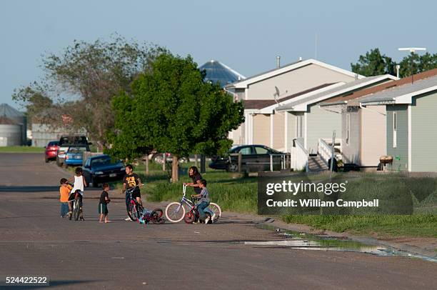 16 Poplar Montana Stock Photos, HighRes Pictures, and Images Getty