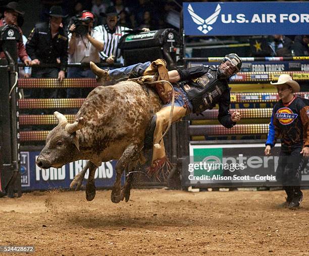 11 Bull Rider Ross Coleman Stock Photos, High-Res Pictures, and Images ...