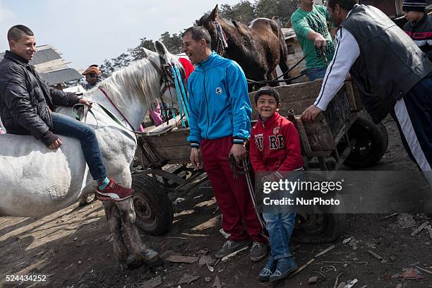 Bulgarian Roma celebrate Horse Easter in the Fakulteta neighborhood of Sofia on February 28, 2015. Every year on St. Todor's day, horse enthusiasts...