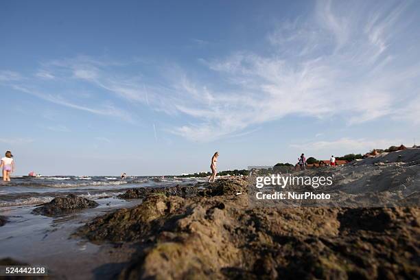 Sopot, Poland 17th, July, 2014 Due to the high temperature and flauta at sea, on the Sopot's Baltic Sea beach blue-green cyanobacteria algae bloomed....