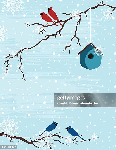 鳥の枝でクリスマスのテンプレートスノーイー - 四匹点のイラスト素材／クリップアート素材／マンガ素材／アイコン素材
