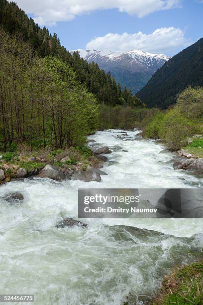 Turkey Rize Mountains 463 Rize Valley Stock Photos, High-Res Pictures, and Images - Getty Images