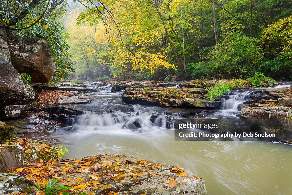 Mill Creek Autumn