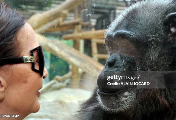 Françoise Delord, fondatrice du zoo de Beauval, pose à côté d'un chimpanzé, le 19 juillet 2011, à Saint-Aignan. Avec 4.600 animaux, dont certains...