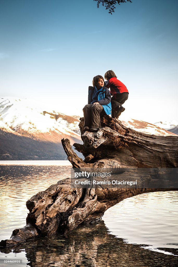 Boys playing on a tree, lake at sunset