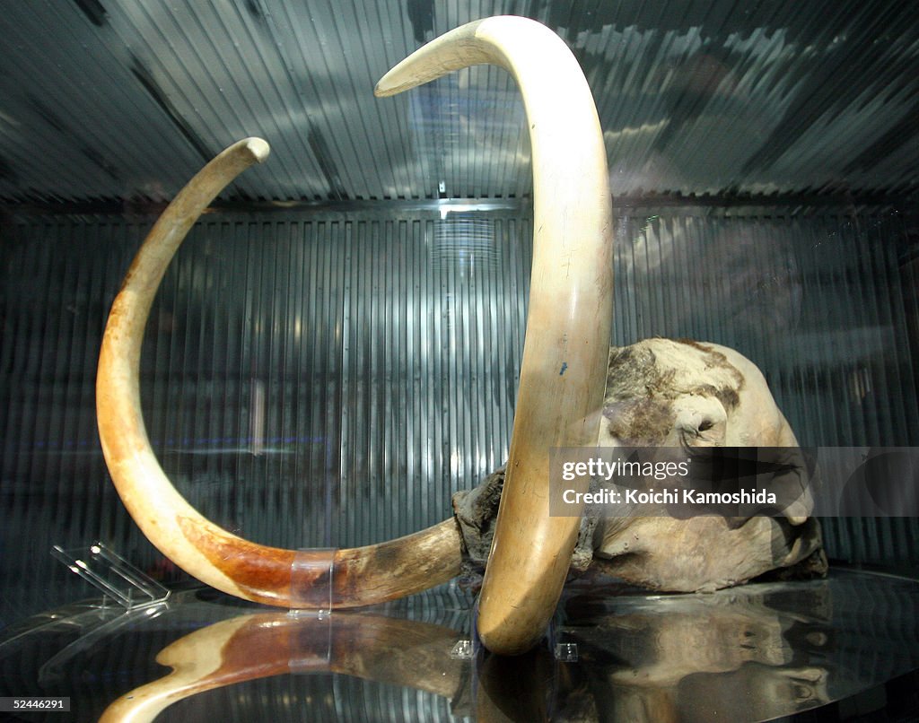 Aichi Expo 2005 During Press Day