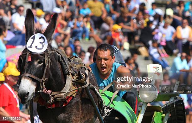 860 Donkey Race Stock Photos, High-Res Pictures, and Images - Getty Images