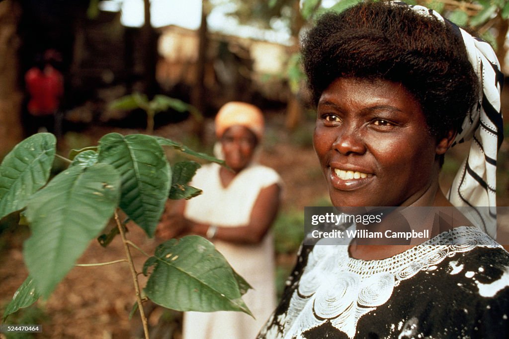 Leader of the Green Belt Movement, Wangari Maathai