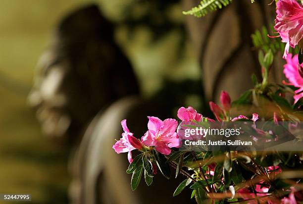 Flowers are seen next to statues of anchient Chinese warriors in a floral display at Macy's March 18, 2005 in San Francisco, California. Macy?s Union...