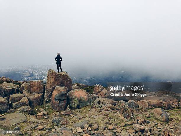 woman standing on mountain top looking out at city - hobart stockfoto's en -beelden