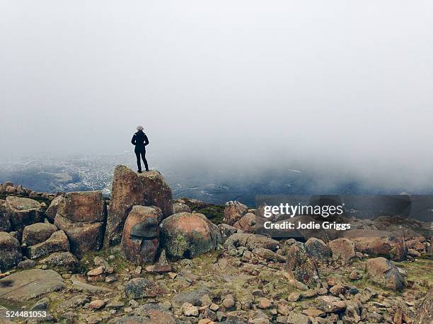 woman standing on mountain top looking out at city - tasmania stock pictures, royalty-free photos & images