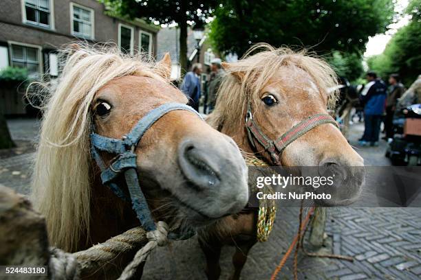 Horse dealers and their sticks used to keep the animals in place and calm. Every year on the 28th of July a horse market is held. The market...