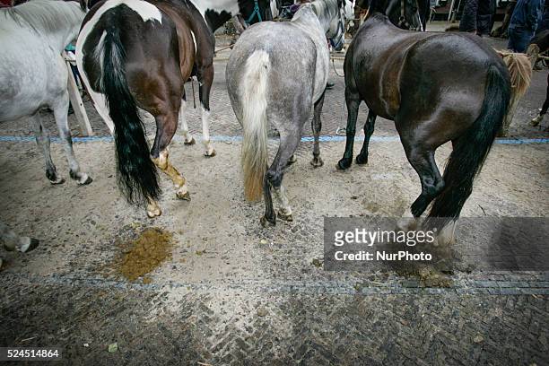 Horse dealers and their sticks used to keep the animals in place and calm. Every year on the 28th of July a horse market is held. The market...