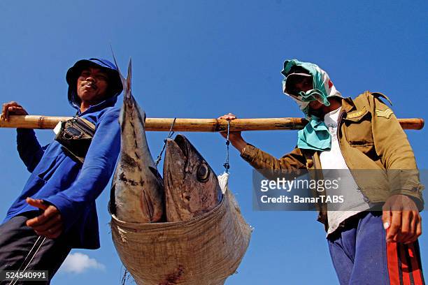 tradizionale pescatore in bali, indonesia - indonesian ethnicity foto e immagini stock