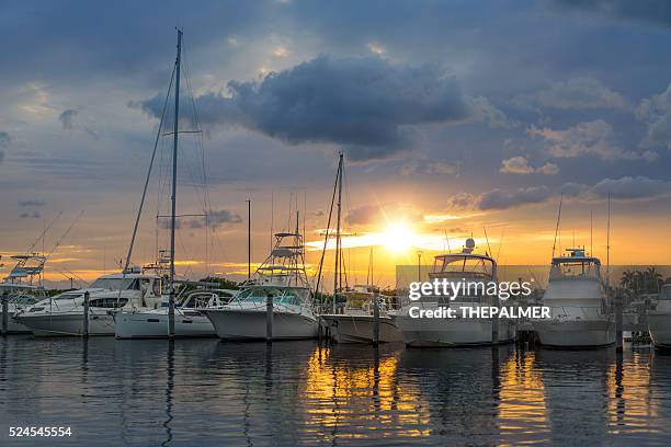 miami marina - boats moored stock pictures, royalty-free photos & images