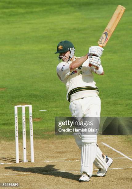 Damien Martyn of Australia in action during day three of the 2nd Test between New Zealand and Australia played at the Basin Reserve on March 20, 2005...